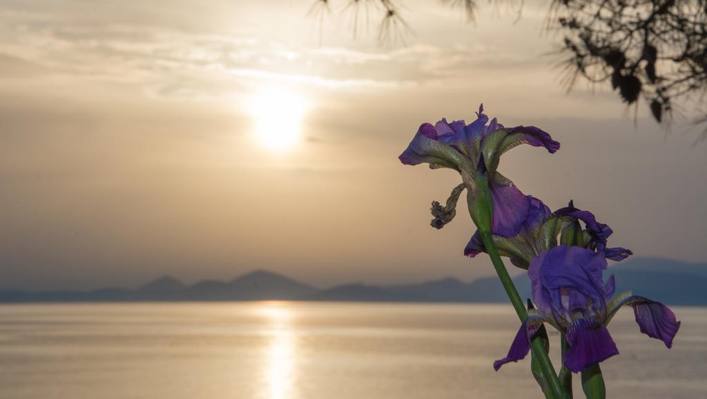 Villa Seasidehouse Hydra  Esterno foto
